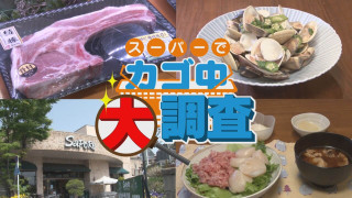 【密着】その食材で何を作りますか?お宅の晩ご飯 撮らせて下さい!【チャント!特集】